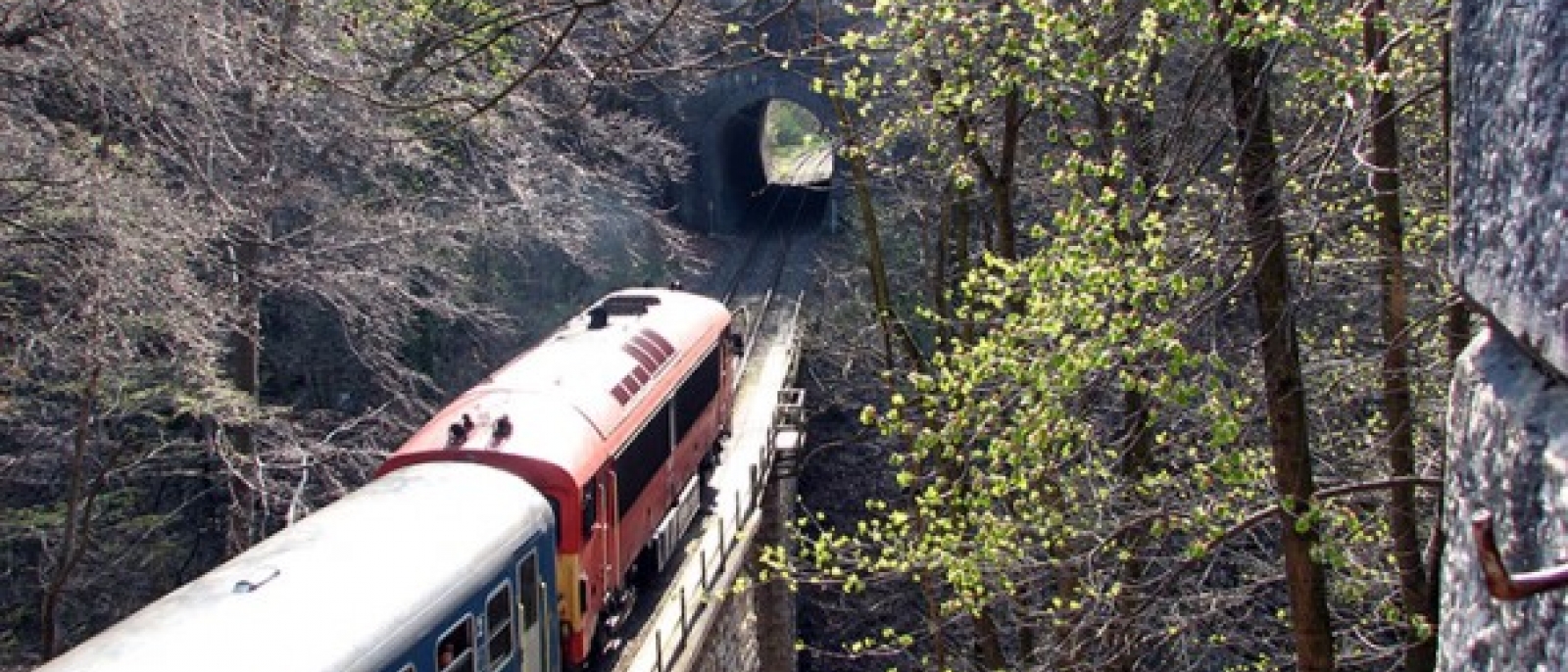 Cuha-valley railroad